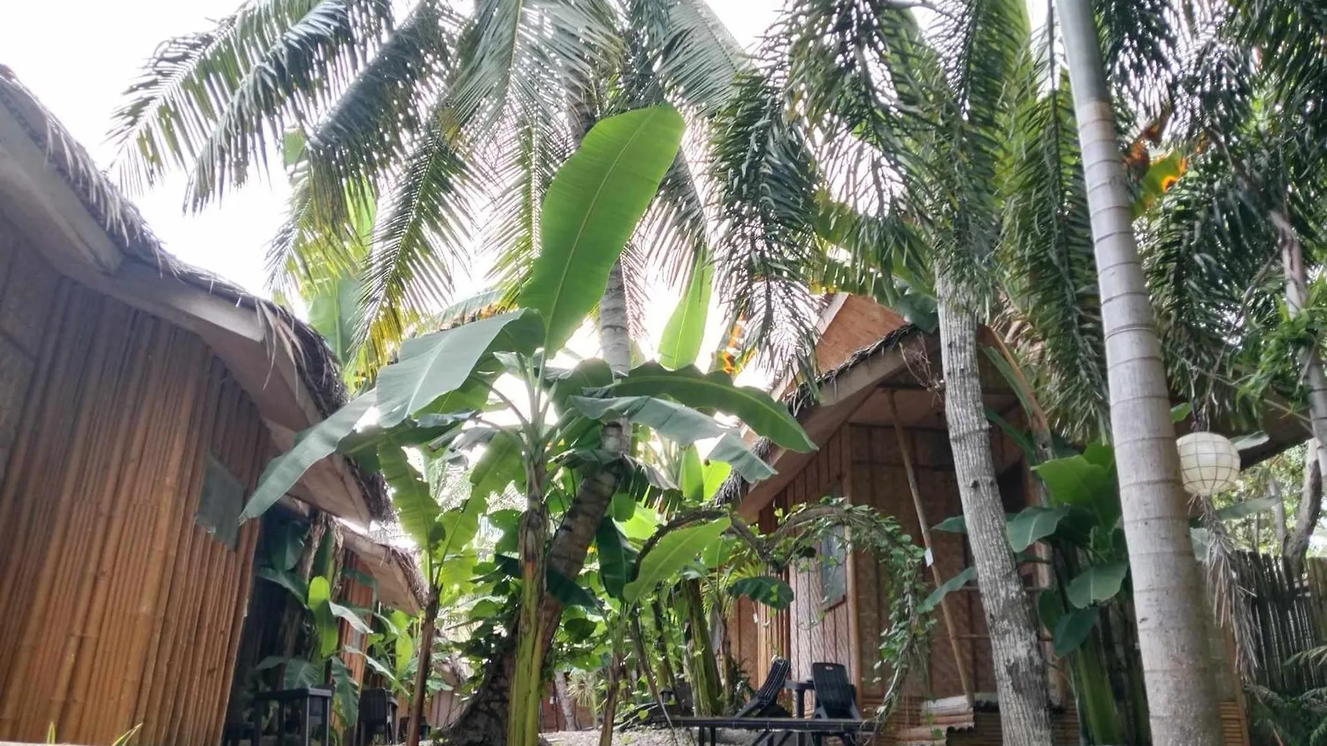 Ecostay Panglao Resort Hotel
